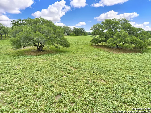 1494 County Road 433 Stockdale, TX 78160
