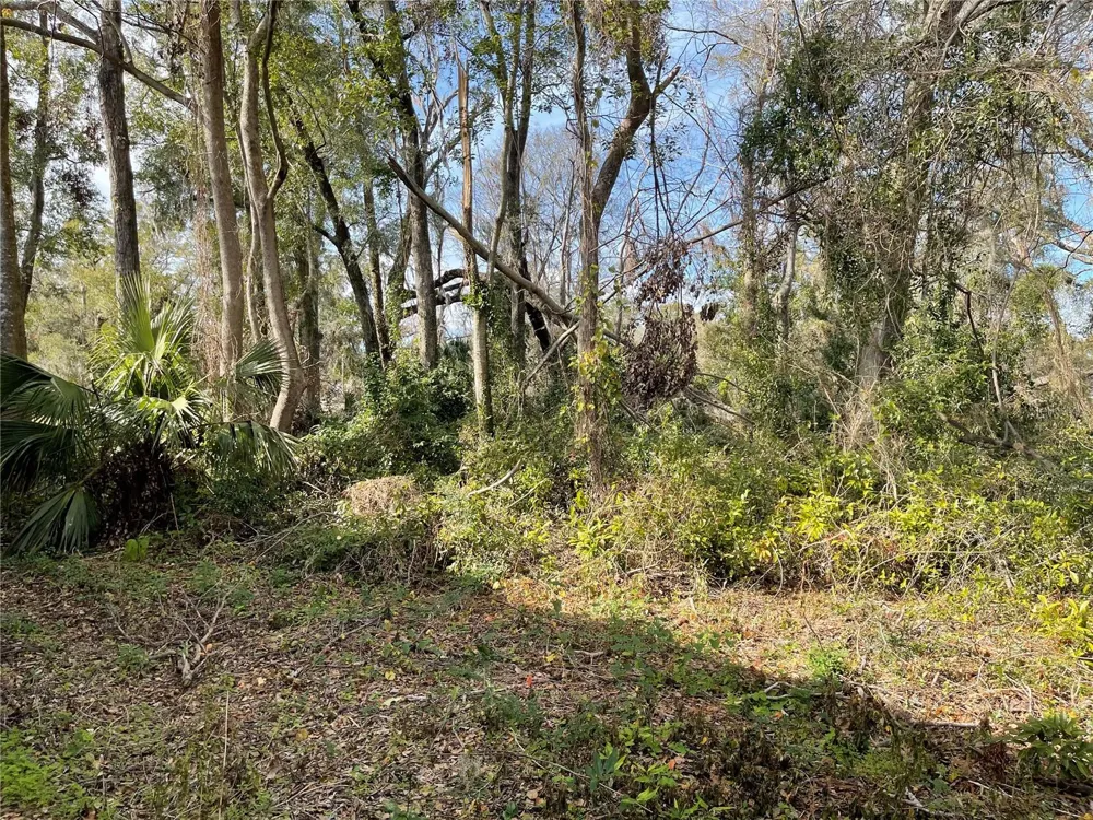 lot 1 NW 135TH TERRACE Alachua, FL 32615