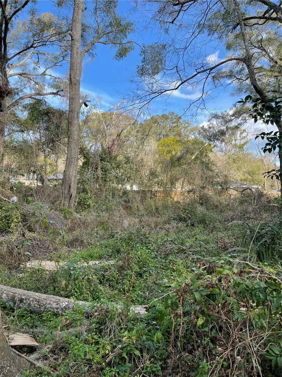 lot 1 NW 135TH TERRACE Alachua, FL 32615