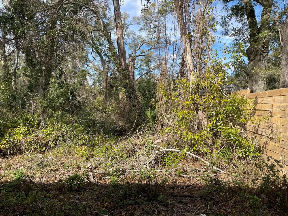 lot 2 NW 135TH TERRACE Alachua, FL 32615