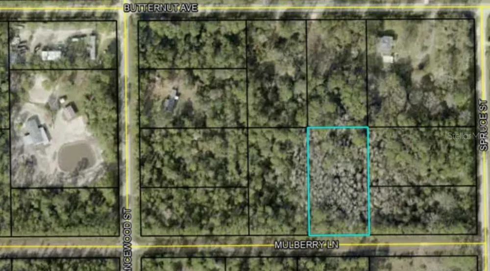 5414 MULBERRY LANE Bunnell, FL 32110