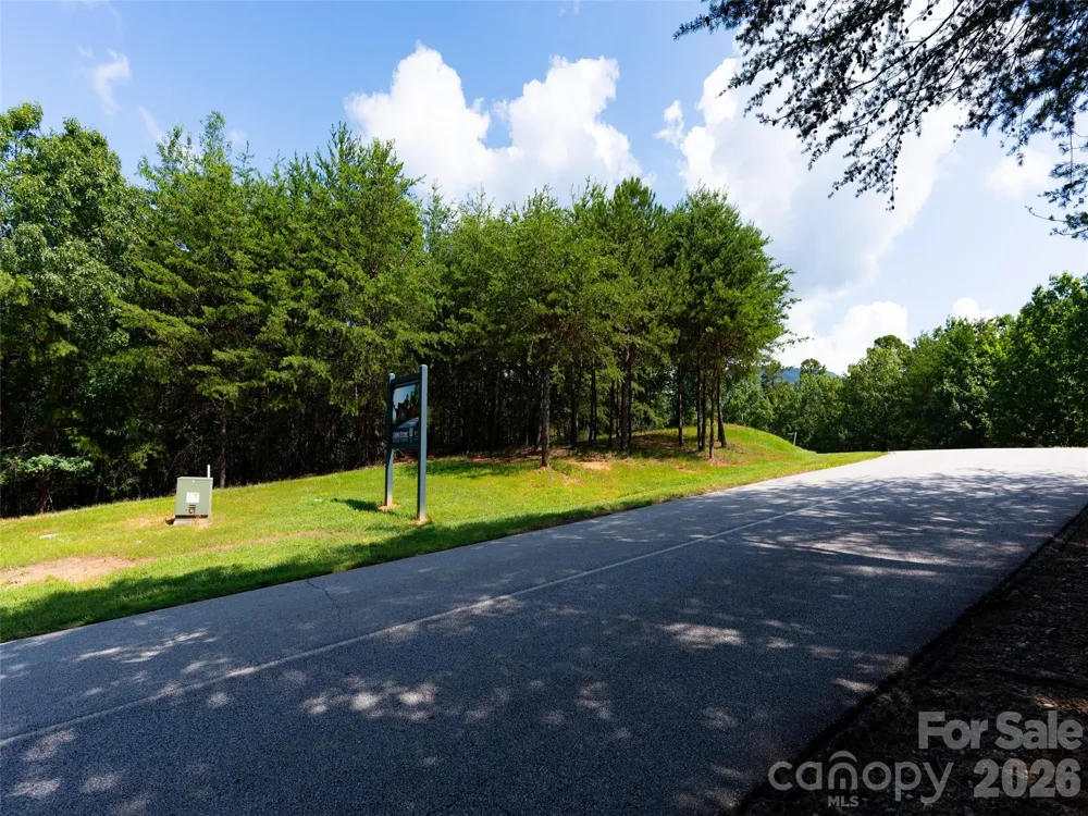 40 Deep Gap Farm Road E Mill Spring, NC 28756