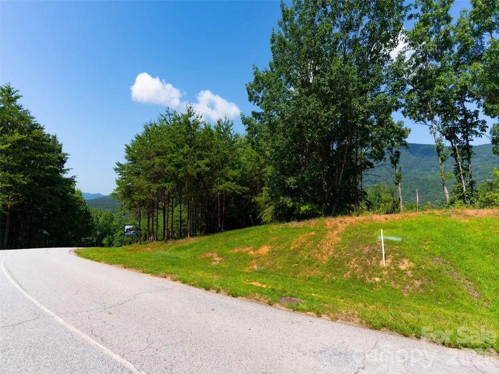 40 Deep Gap Farm Road E Mill Spring, NC 28756