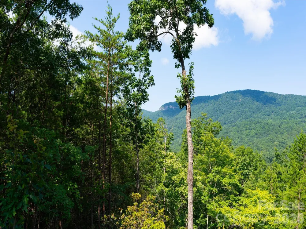 40 Deep Gap Farm Road E Mill Spring, NC 28756