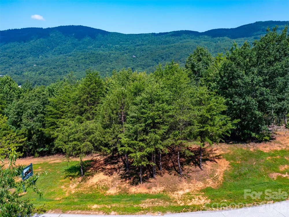 40 Deep Gap Farm Road E Mill Spring, NC 28756