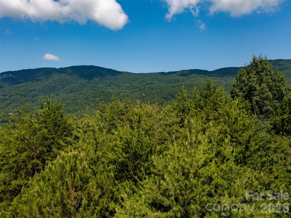 40 Deep Gap Farm Road E Mill Spring, NC 28756