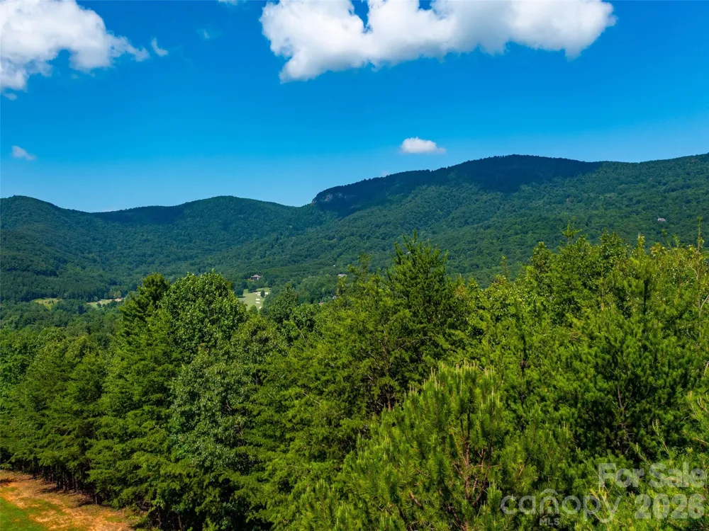 40 Deep Gap Farm Road E Mill Spring, NC 28756