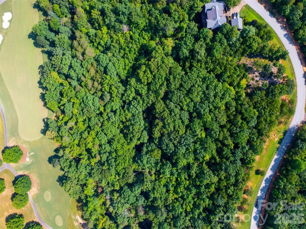 40 Deep Gap Farm Road E Mill Spring, NC 28756