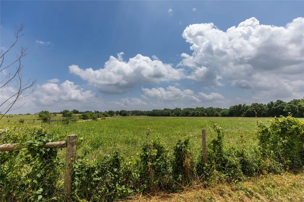 Skalak Road New Ulm, TX 78950