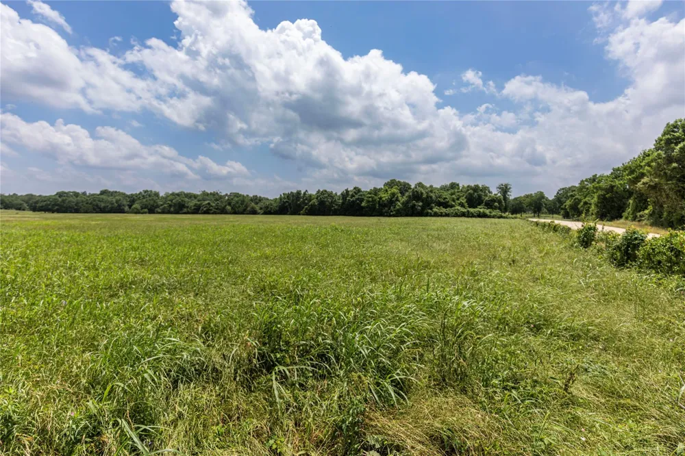 Skalak Road New Ulm, TX 78950