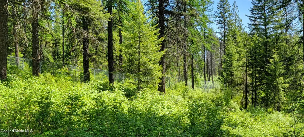 1015 Templeman Lake Road Bonners Ferry, ID 83805