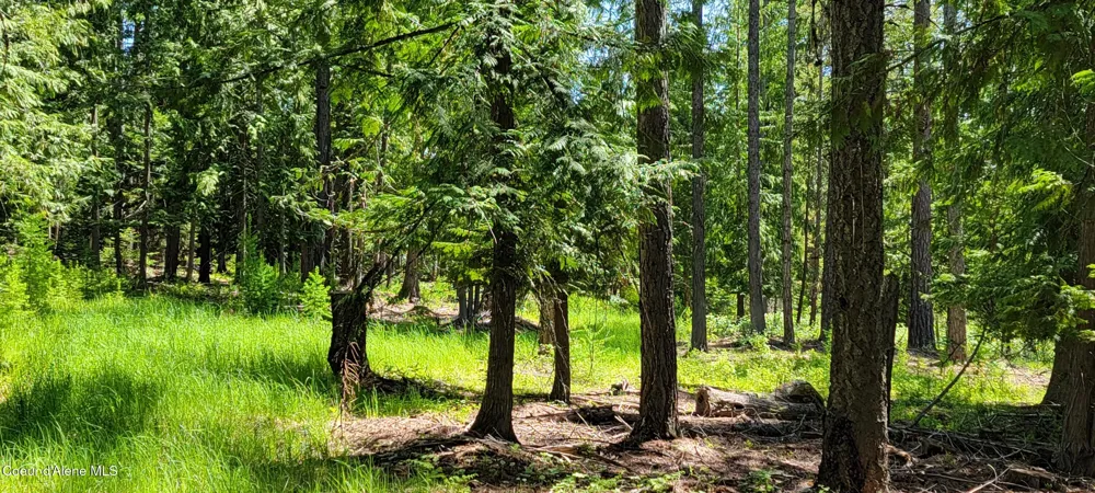 1015 Templeman Lake Road Bonners Ferry, ID 83805