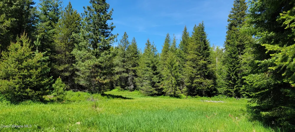 1015 Templeman Lake Road Bonners Ferry, ID 83805