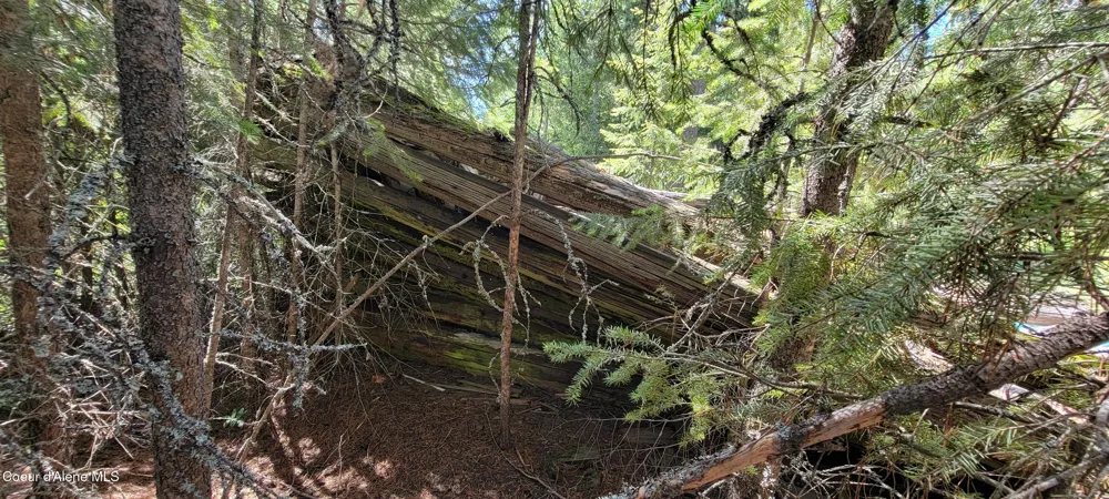 1015 Templeman Lake Road Bonners Ferry, ID 83805