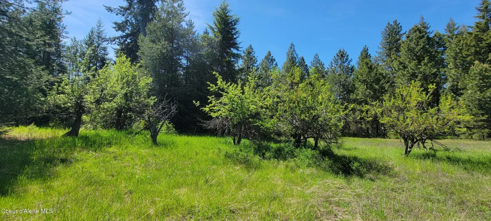 1015 Templeman Lake Road Bonners Ferry, ID 83805