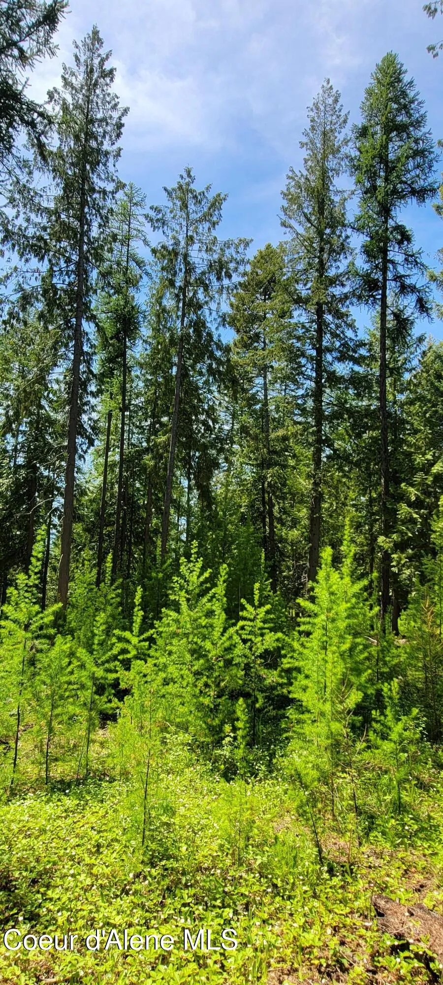 1015 Templeman Lake Road Bonners Ferry, ID 83805
