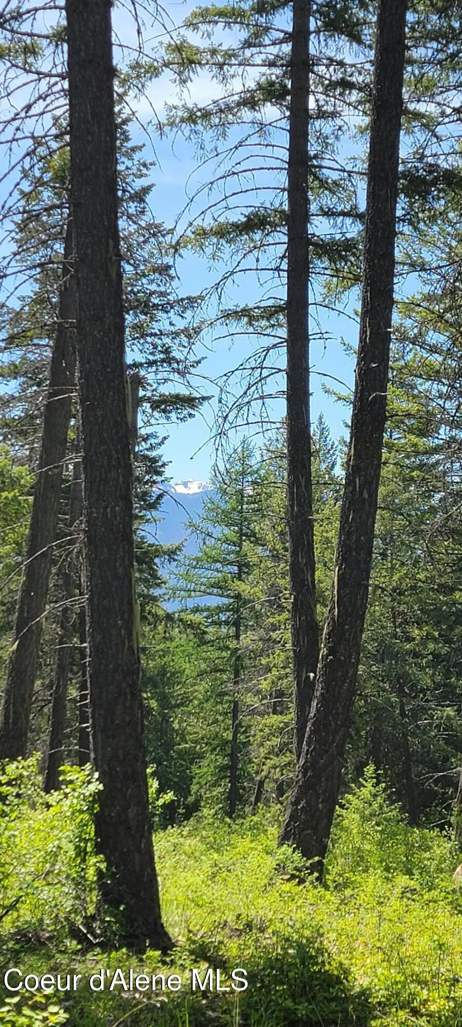1015 Templeman Lake Road Bonners Ferry, ID 83805