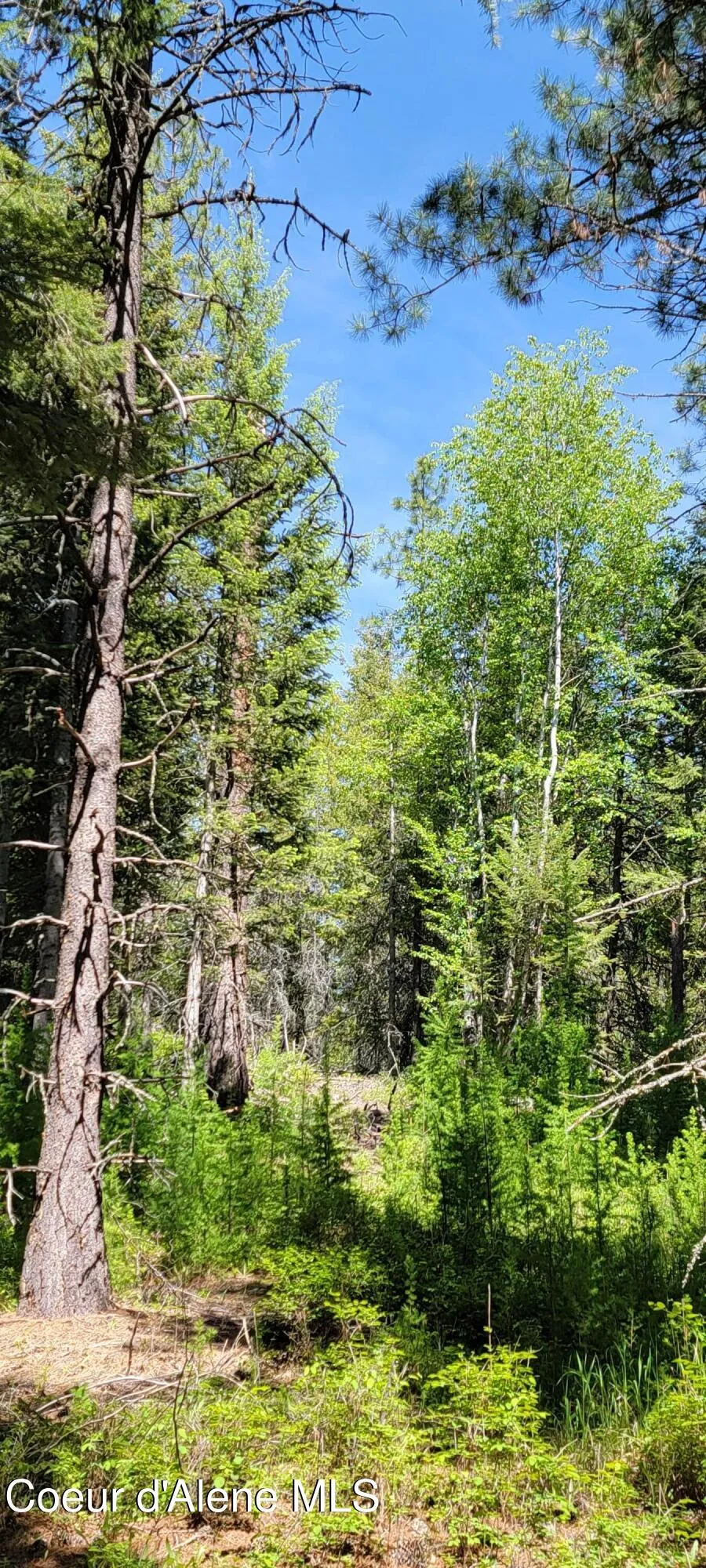 1015 Templeman Lake Road Bonners Ferry, ID 83805