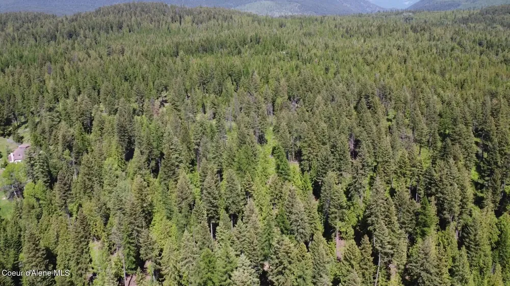 1015 Templeman Lake Road Bonners Ferry, ID 83805