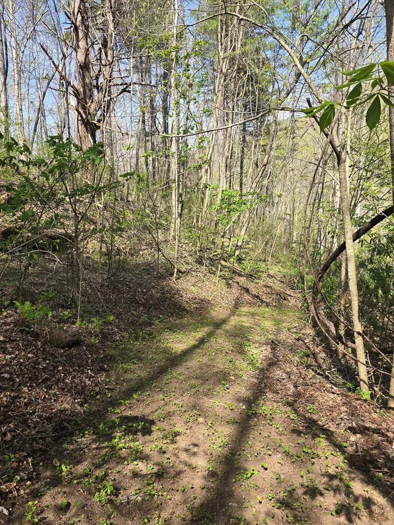 Hares Ear Lane Tuckasegee, NC 28783