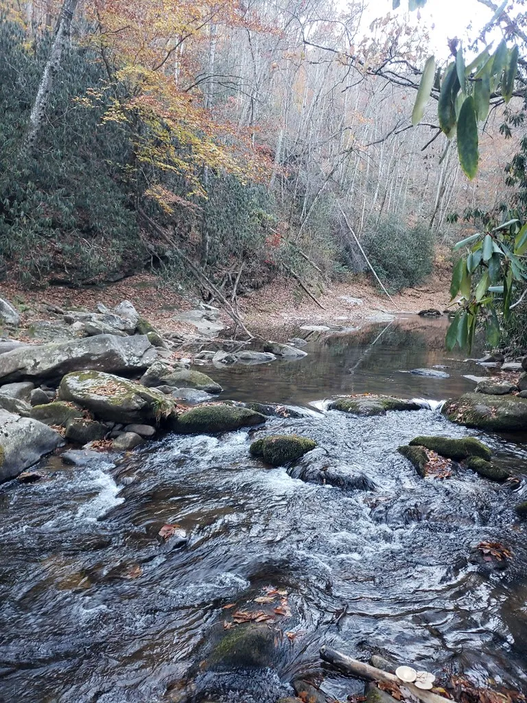 Hares Ear Lane Tuckasegee, NC 28783