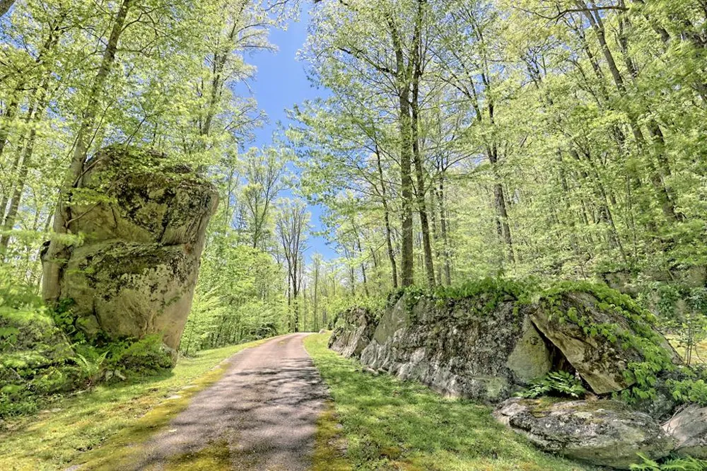 Hares Ear Lane Tuckasegee, NC 28783
