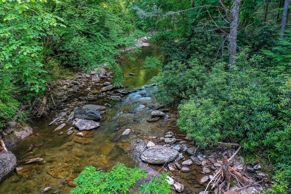 Hares Ear Lane Tuckasegee, NC 28783