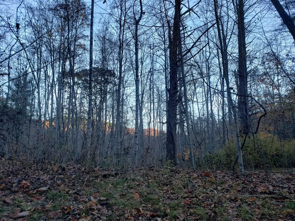 Hares Ear Lane Tuckasegee, NC 28783