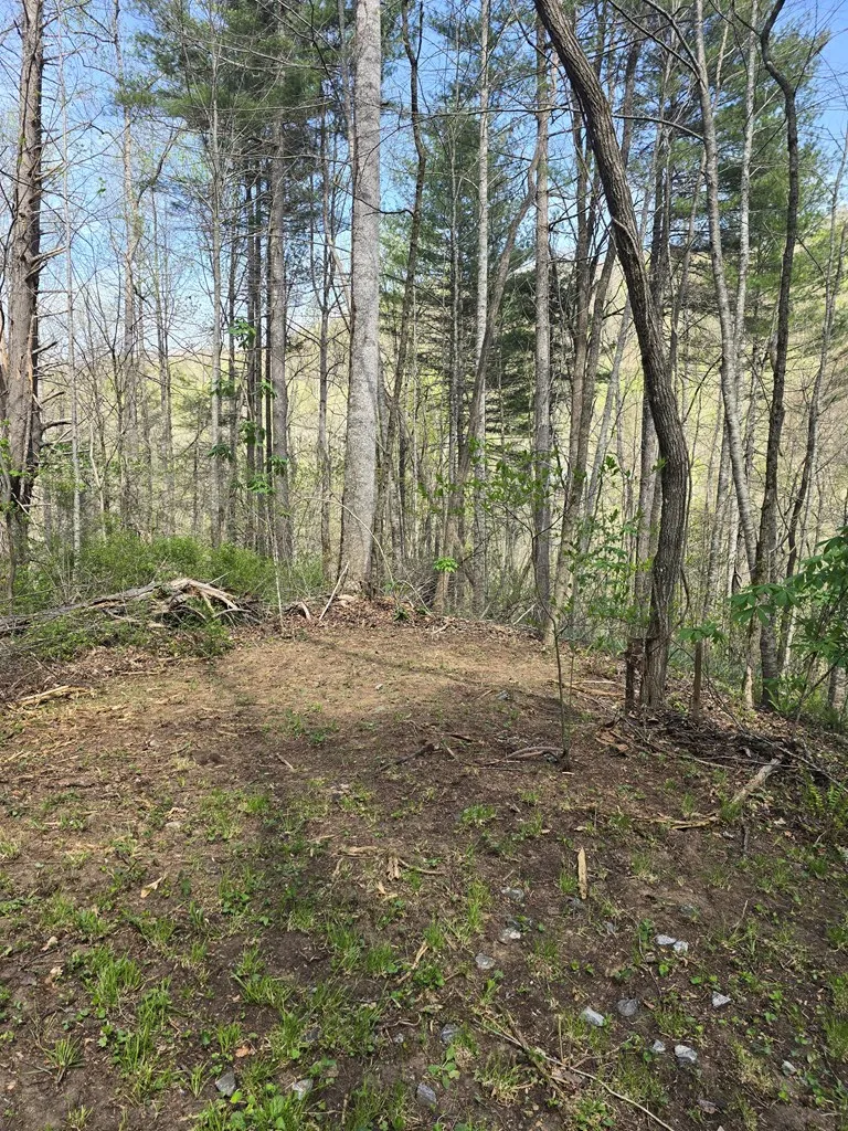 Hares Ear Lane Tuckasegee, NC 28783