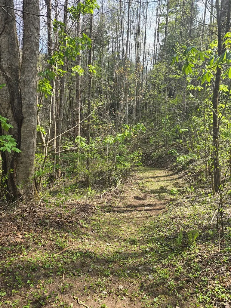 Hares Ear Lane Tuckasegee, NC 28783