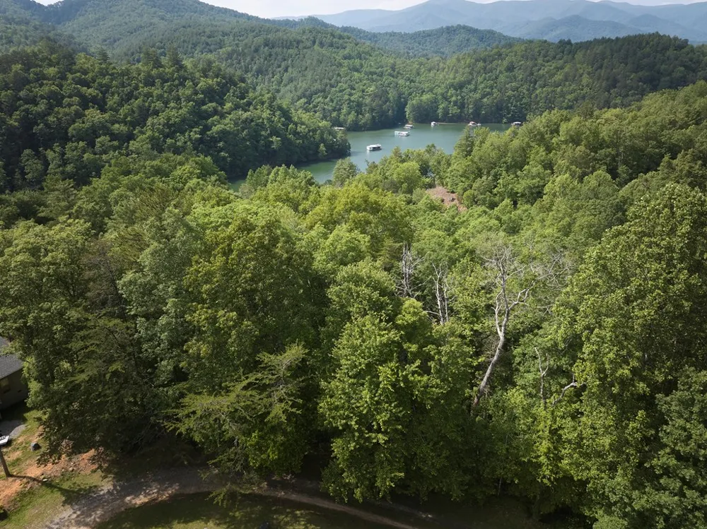 Oakleaf Rd Almond, NC 28702