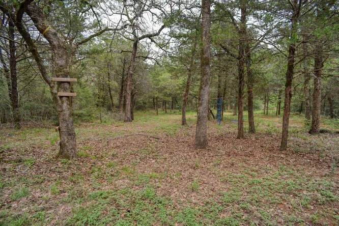 247 Campfire Way Smithville, TX 78957