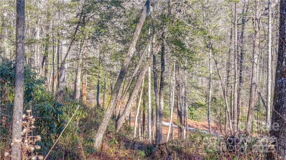 TBD Toxaway Falls Drive #TR-A Lake Toxaway, NC 28747
