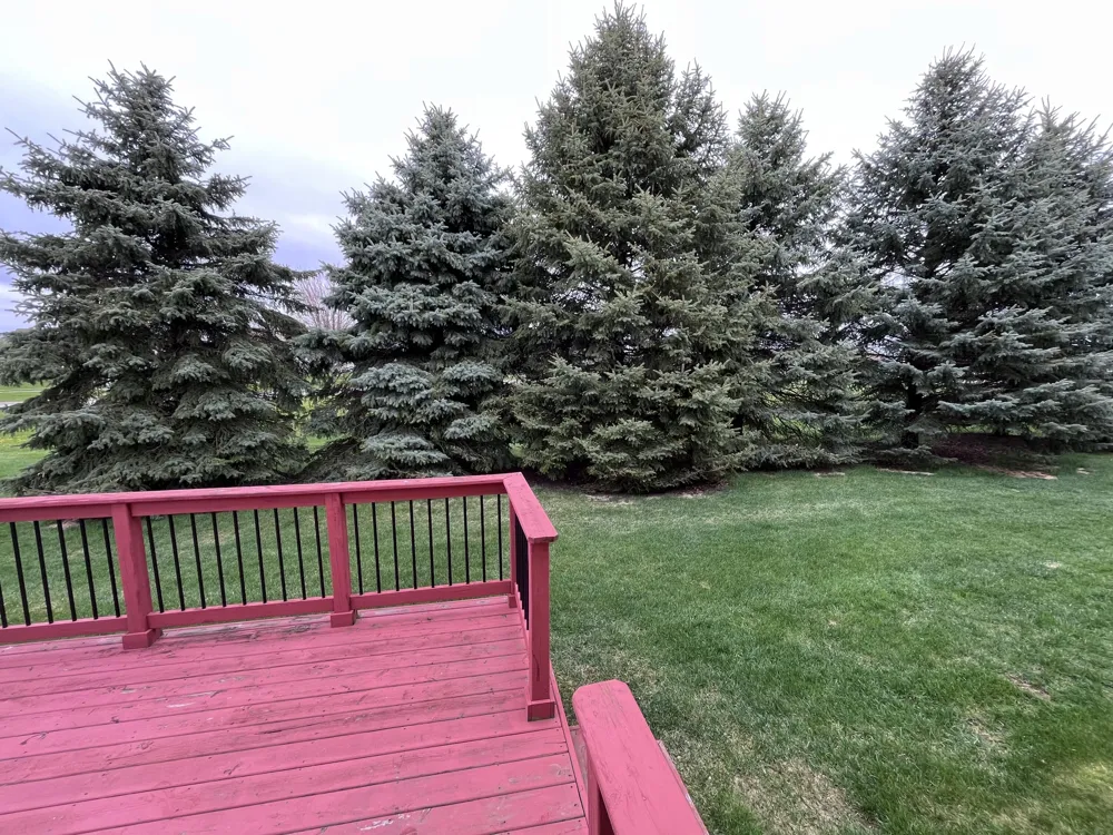 1637 chippewa Way Mount Pleasant, MI 48858