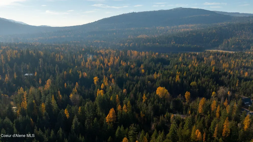 9816 Bottle Bay Road Sagle, ID 83860