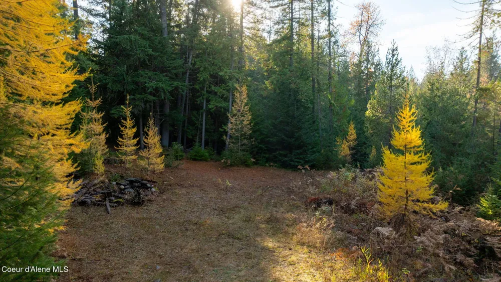 9816 Bottle Bay Road Sagle, ID 83860