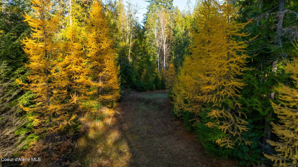 9816 Bottle Bay Road Sagle, ID 83860