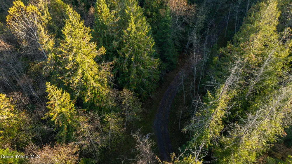 9816 Bottle Bay Road Sagle, ID 83860
