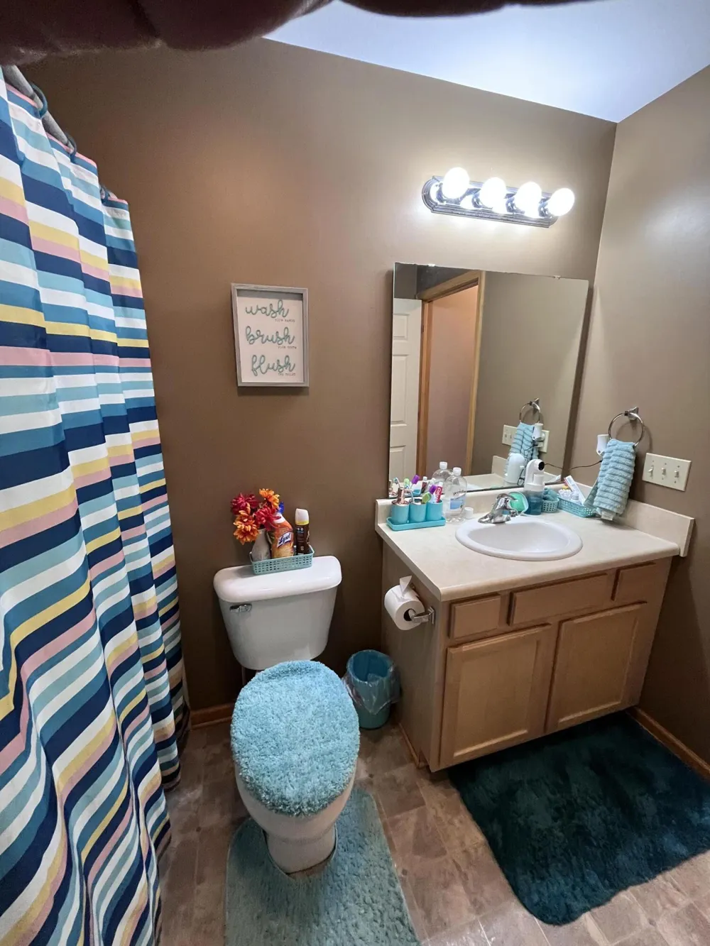 1637 chippewa Way Mt Pleasant City, MI 48858