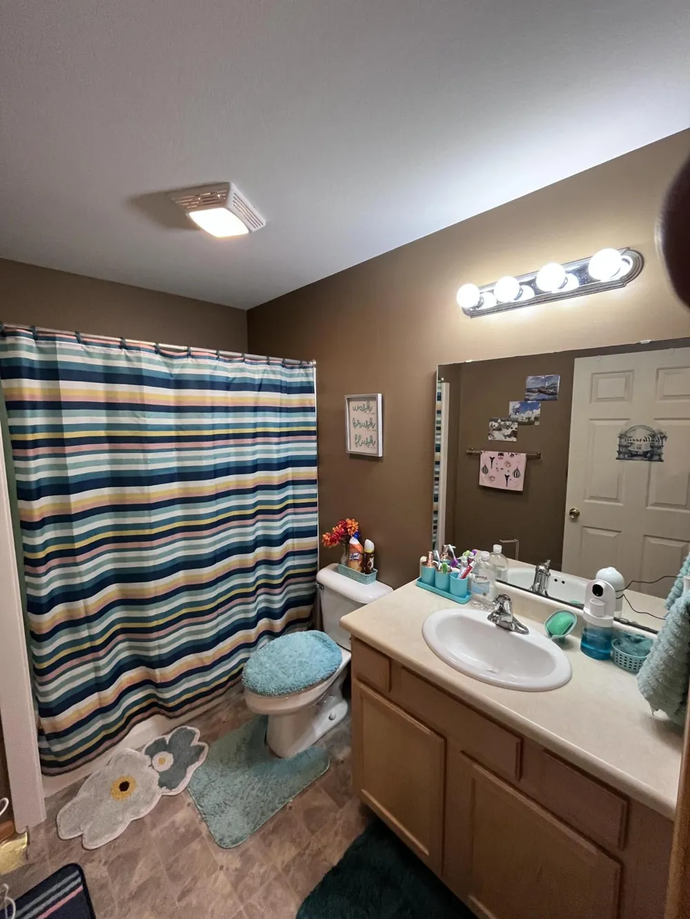 1637 chippewa Way Mt Pleasant City, MI 48858