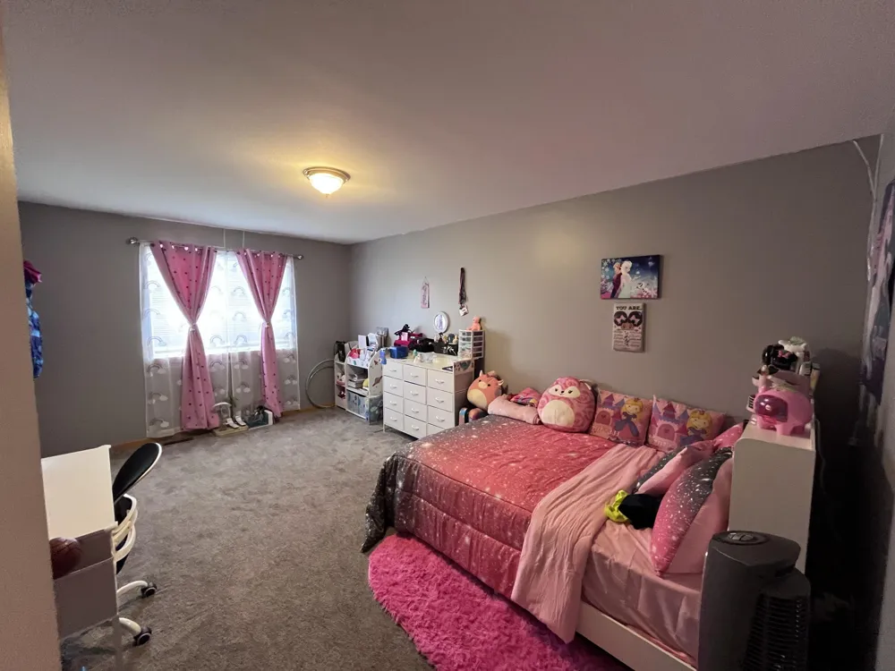 1637 chippewa Way Mt Pleasant City, MI 48858