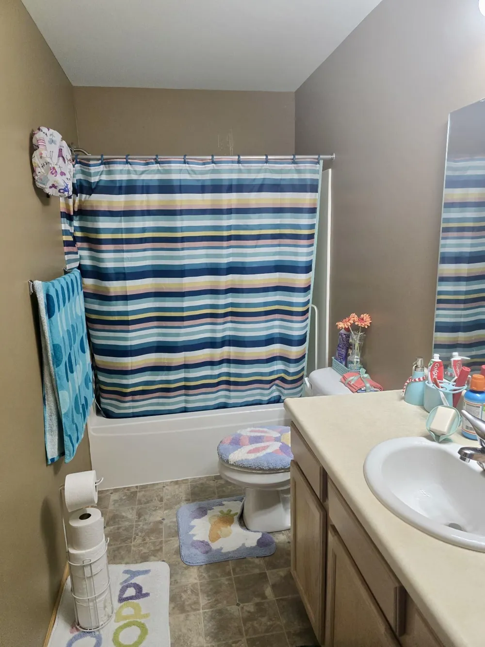1637 chippewa Way Mt Pleasant City, MI 48858