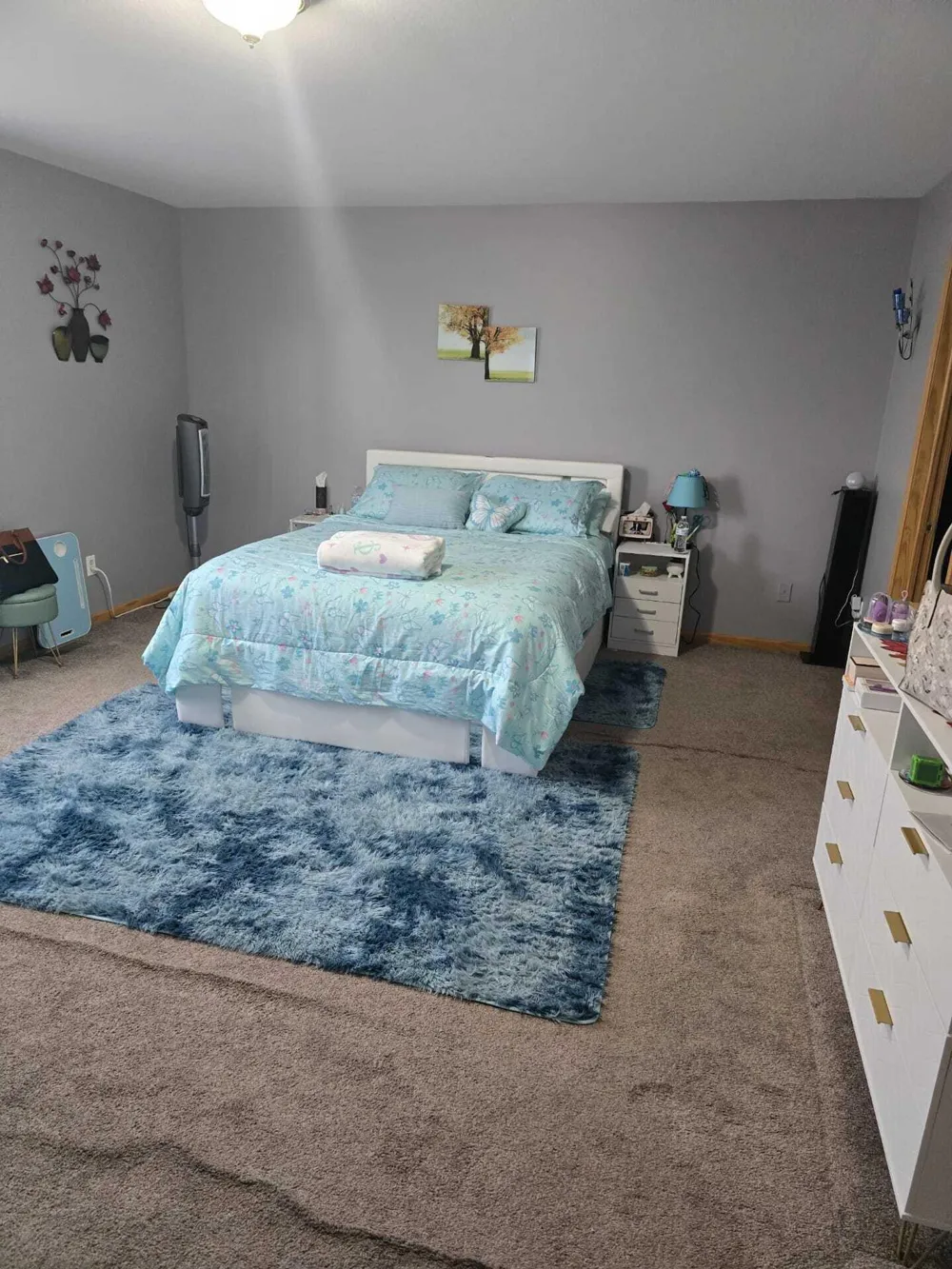 1637 chippewa Way Mt Pleasant City, MI 48858