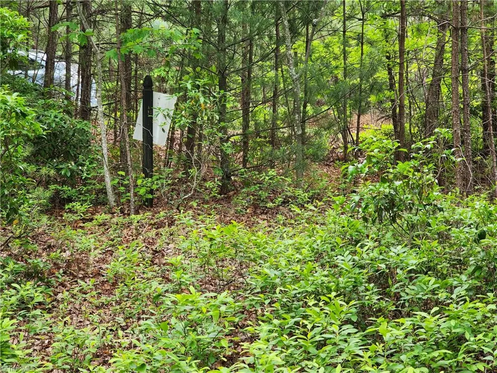 TBD Derby Chase Court McGrady, NC 28649
