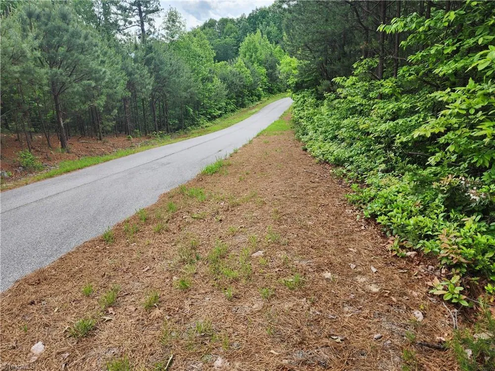 TBD Derby Chase Court McGrady, NC 28649