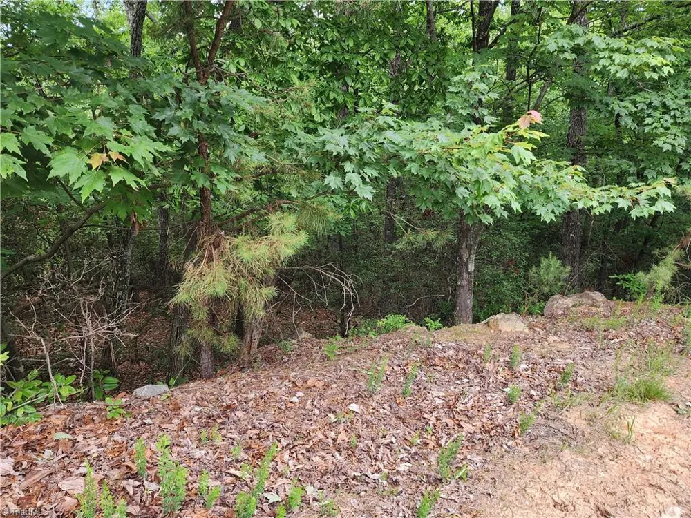 TBD Derby Chase Court McGrady, NC 28649