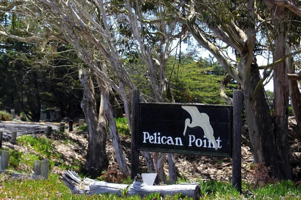 66 Pelican Watsonville, CA 95076