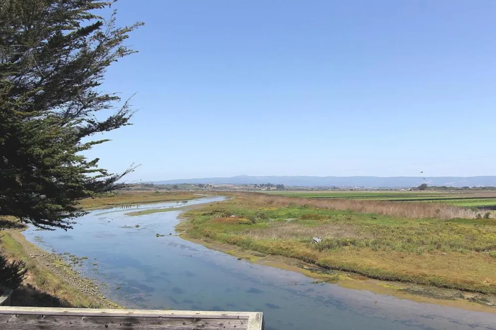 66 Pelican Watsonville, CA 95076