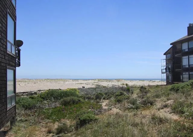 66 Pelican Watsonville, CA 95076