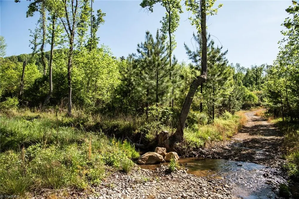 000 Swaringen Road Traphill, NC 28685